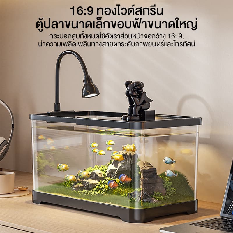 ปลาสวยงาม, ตู้ปลาขนาดเล็ก AS มีฝาปิดป้องกันปลากระโดดออกมา สามารถใช้สำหรับการจัดเก็บ วางอาหารปลา รูปที่ 2
