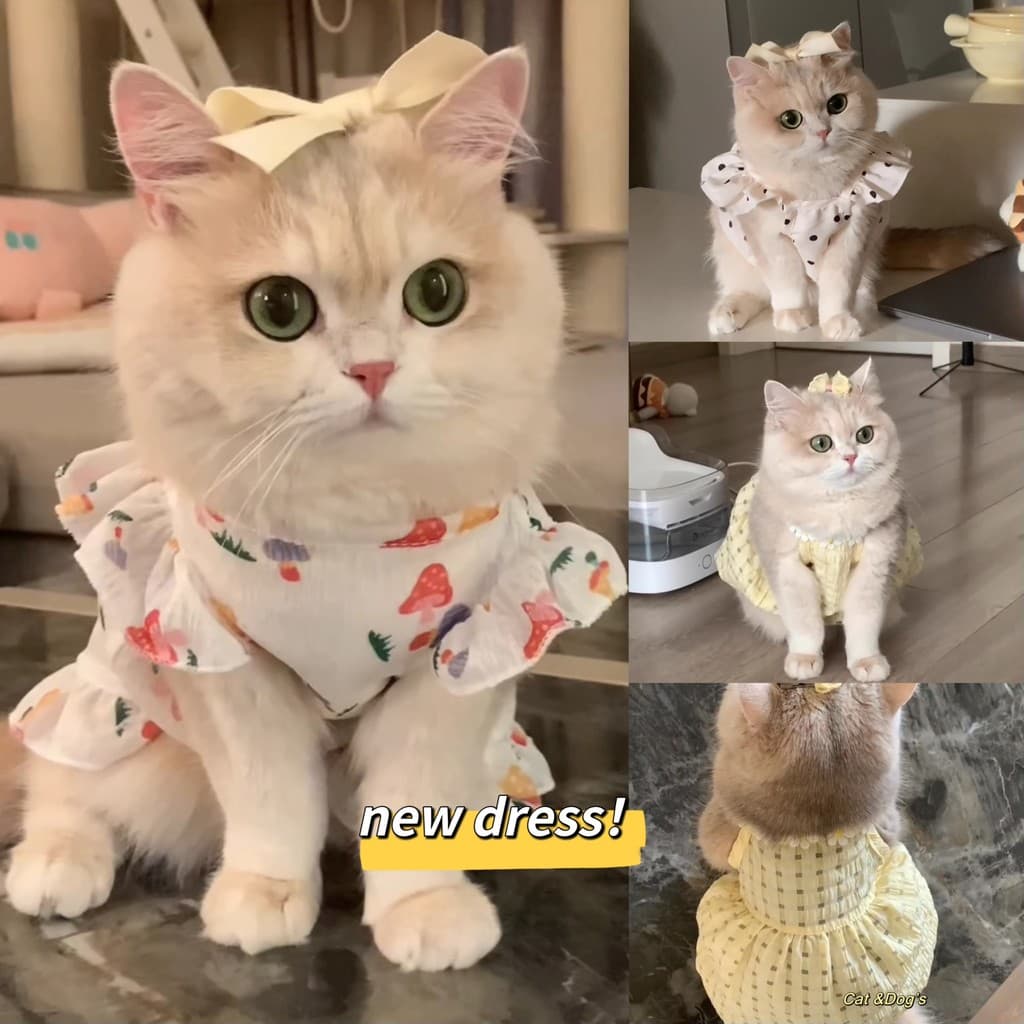 สัตว์เลี้ยงลูกสุนัขเสื้อผ้าสุนัขแต่งตัวแมวลูกสุนัขเจ้าหญิงบินแขนกระโปรงฤดูร้อนบางสไตล์ รูปที่ 1