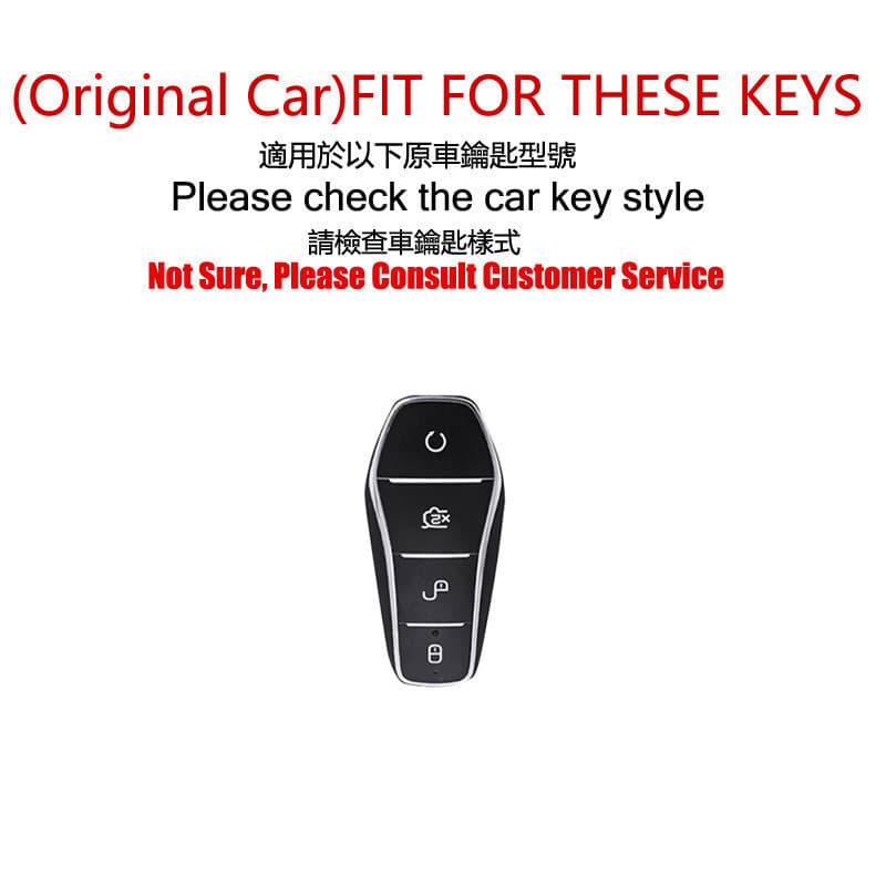 สังกะสีอัลลอยด์รถ REMOTE Key casesealion6,/ ซีล / atto3 / ปลาโลมา /m6/ sealion 7 กรณีกุญแจรีโมทรถยนต์ รูปที่ 2