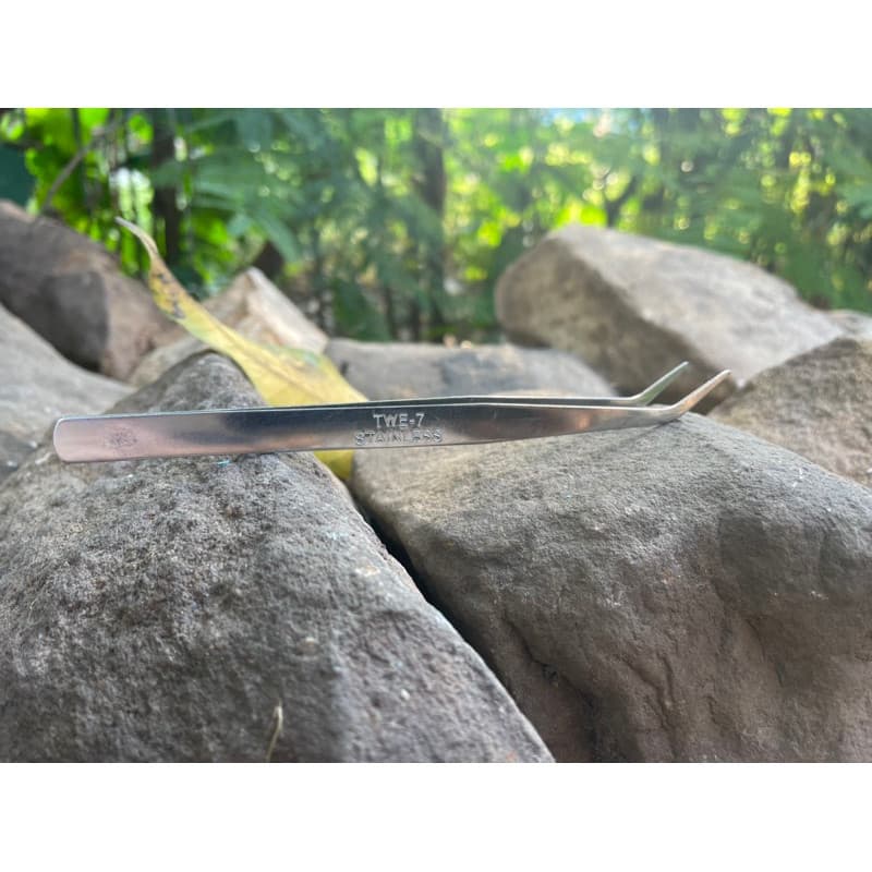 Forcep ฟอร์เซป ปากงอ ปากตรง คุณภาพดี จากสแตนเลส สำหรับคีบเมล็ดผักลงฟองน้ำ รูปที่ 2