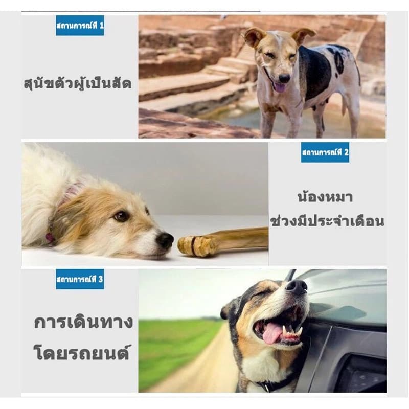 ผ้าอ้อมหมาผ้าอ้อมสุนัขเพศผู้ ผ้าอ้อมสัตว์เลี้ยง แพมเพิสสุนัข ตัวเมีย สำหรับสุนัขและแมว ผ้าอ้อมน้องหมา รูปที่ 4