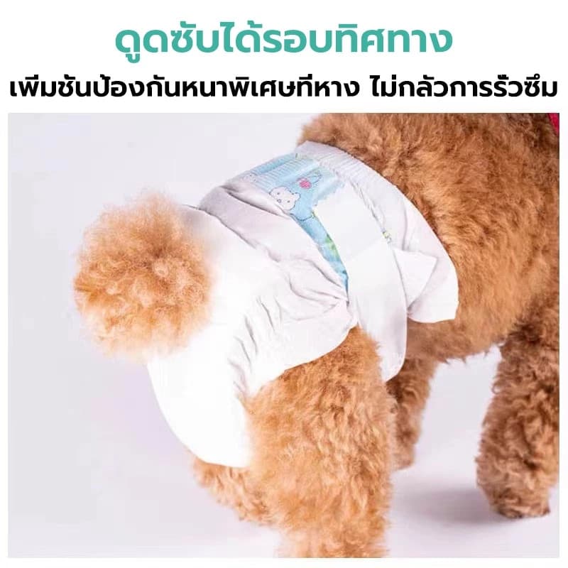 ผ้าอ้อมหมาผ้าอ้อมสุนัขเพศผู้ ผ้าอ้อมสัตว์เลี้ยง แพมเพิสสุนัข ตัวเมีย สำหรับสุนัขและแมว ผ้าอ้อมน้องหมา รูปที่ 8