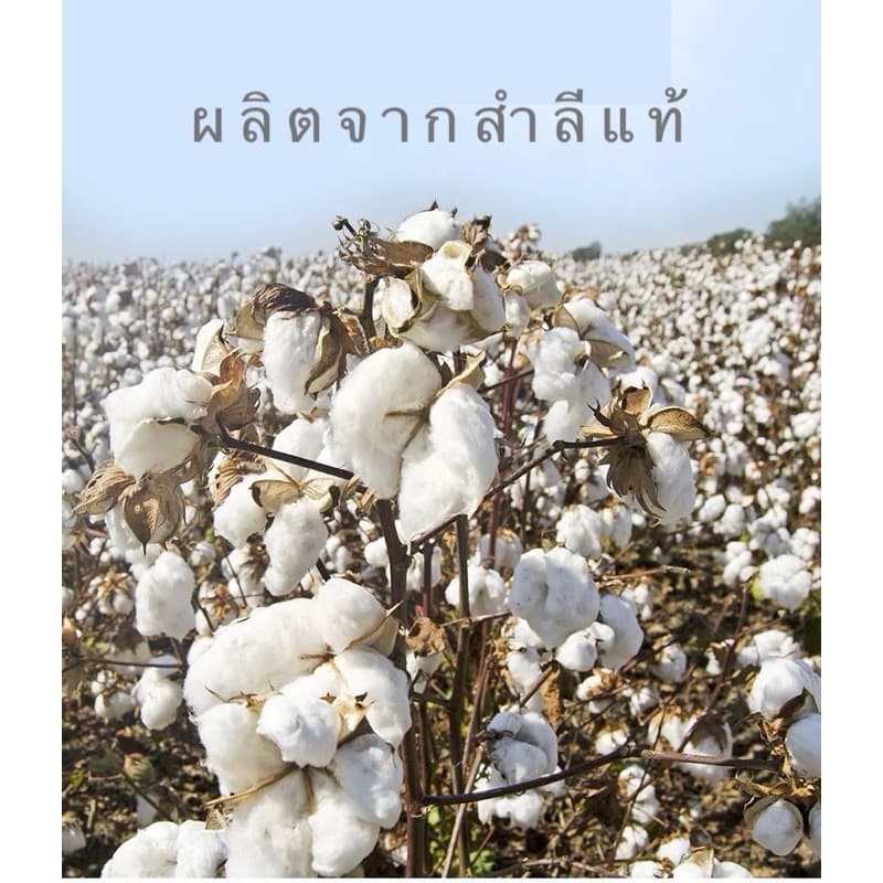 ผ้าอ้อมเด็กแรกเกิด 1ผืน ผ้าอ้อมสาลู ขนาด 27x27 นิ้ว Baby Muslin Towel รูปที่ 5