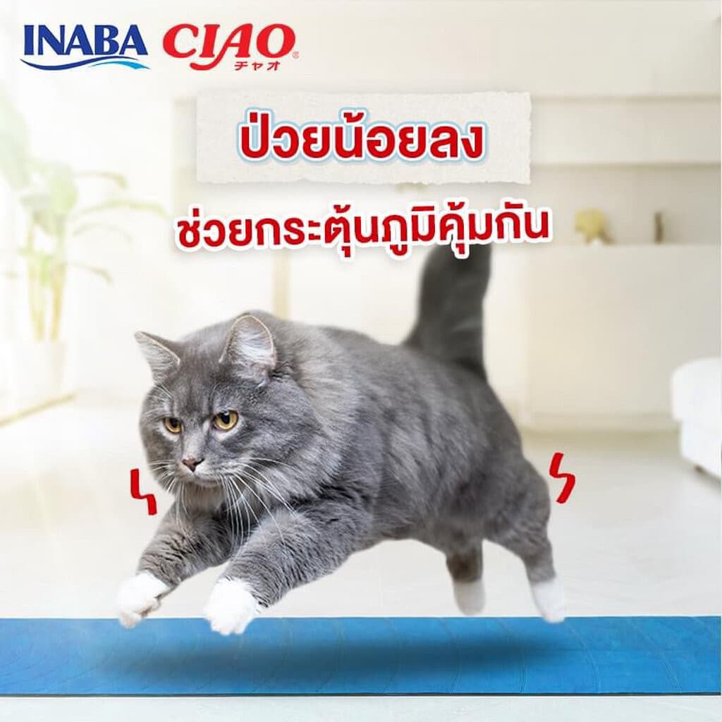 ) CIAO Sugoi Crunchy อาหารเม็ดแมว เกรดพรีเมี่ยม สูตรเสริมพรีไบโอติก รูปที่ 5