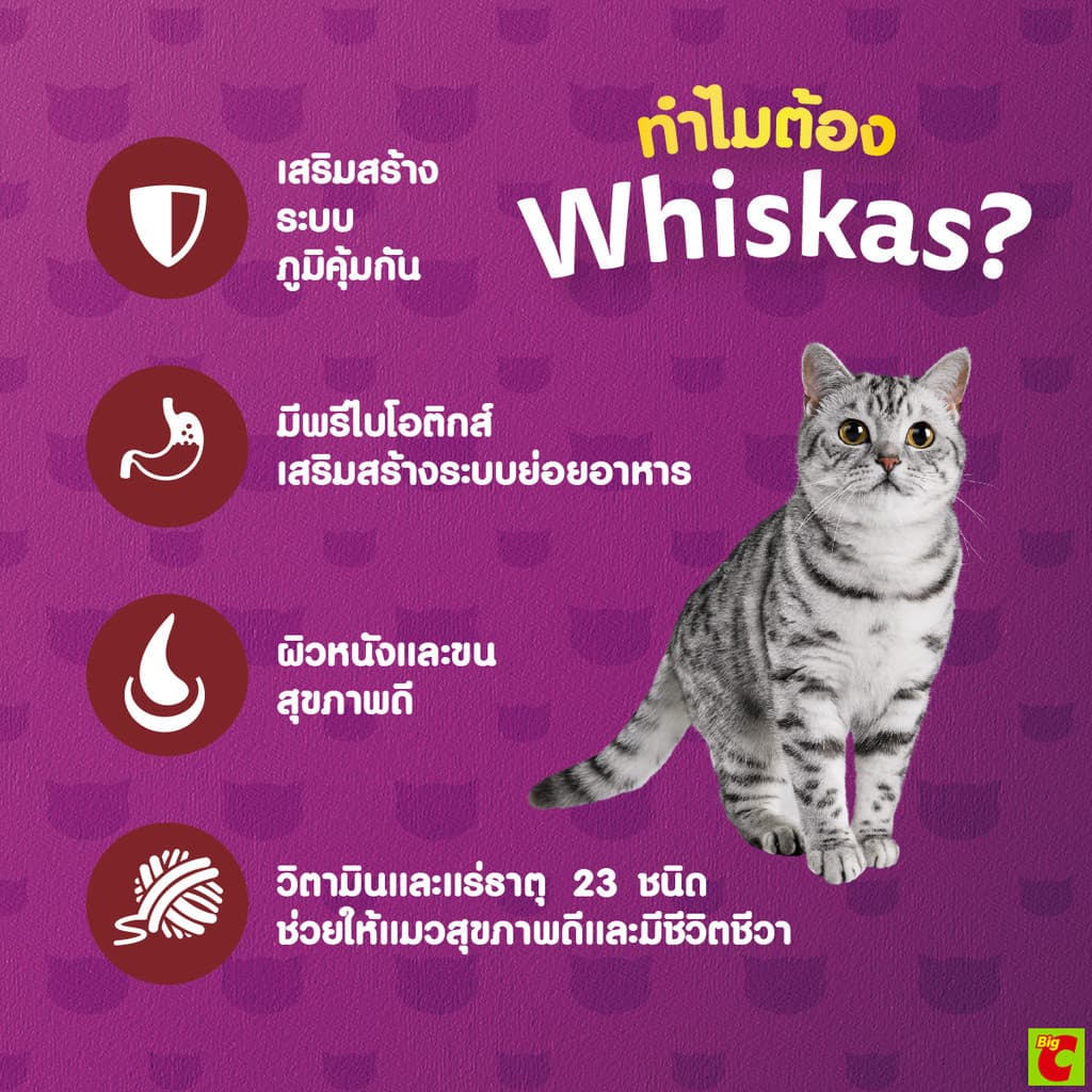 วิสกัส อาหารแมวชนิดเม็ด สำหรับแมวโต รสปลาซาบะย่าง 3 กก. รูปที่ 9