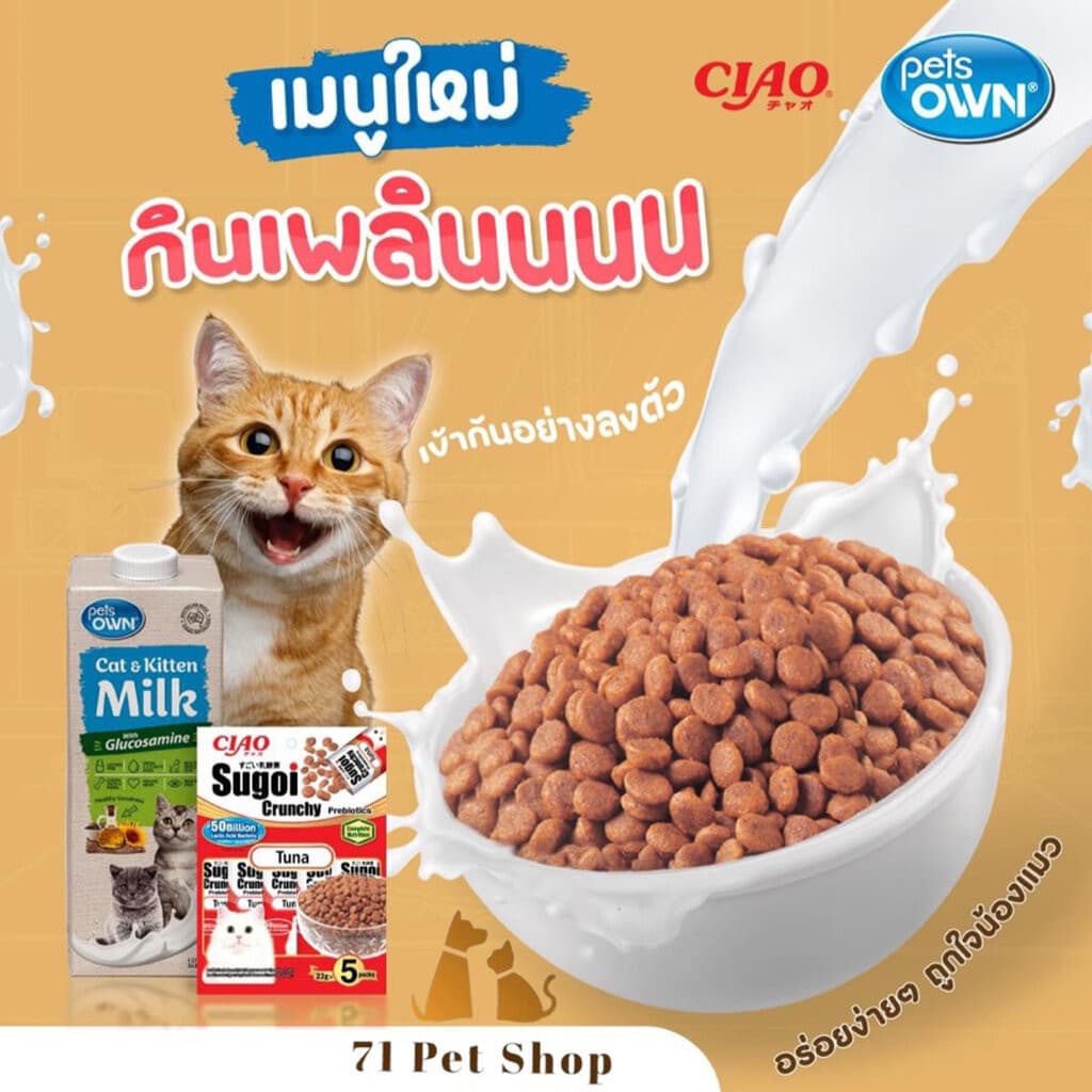) CIAO Sugoi Crunchy อาหารเม็ดแมว เกรดพรีเมี่ยม สูตรเสริมพรีไบโอติก รูปที่ 3