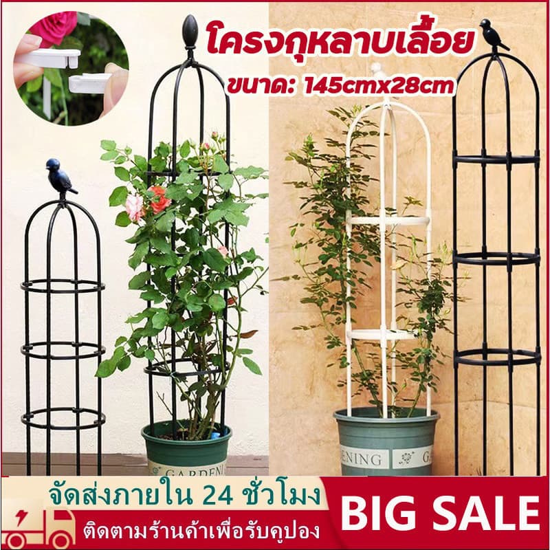 【จัดส่งฟรี】145cm*28cm โครงกุหลาบเลื้อย ซุ้มไม้เลื้อย เหล็กแข็งแรง ท่อเหล็กเคลือบ PE กันสนิม กระถางต้น