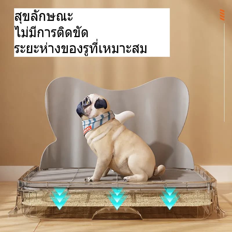CODห้องน้ําหมา ถาดรองฉี่สุนัข 2 ชั้น เสาให้น้องเล็ง ประเภทลิ้นชัก ถาดรองฉี่ แถมพลั่ว รูปที่ 2