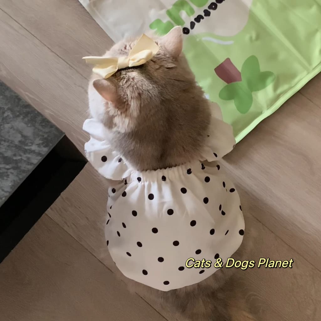 สัตว์เลี้ยงลูกสุนัขเสื้อผ้าสุนัขแต่งตัวแมวลูกสุนัขเจ้าหญิงบินแขนกระโปรงฤดูร้อนบางสไตล์ รูปที่ 3
