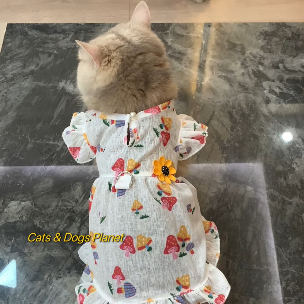 สัตว์เลี้ยงลูกสุนัขเสื้อผ้าสุนัขแต่งตัวแมวลูกสุนัขเจ้าหญิงบินแขนกระโปรงฤดูร้อนบางสไตล์ รูปที่ 5