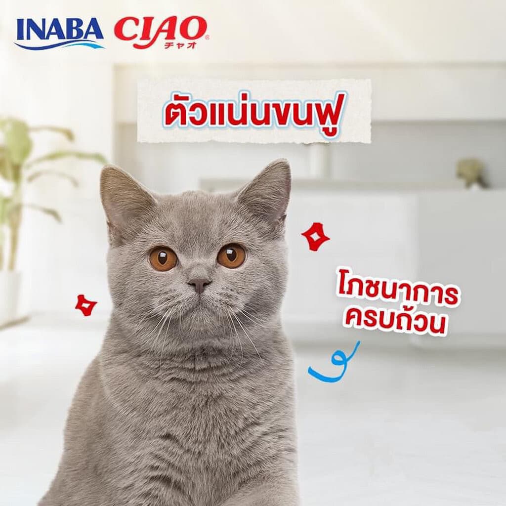) CIAO Sugoi Crunchy อาหารเม็ดแมว เกรดพรีเมี่ยม สูตรเสริมพรีไบโอติก รูปที่ 7