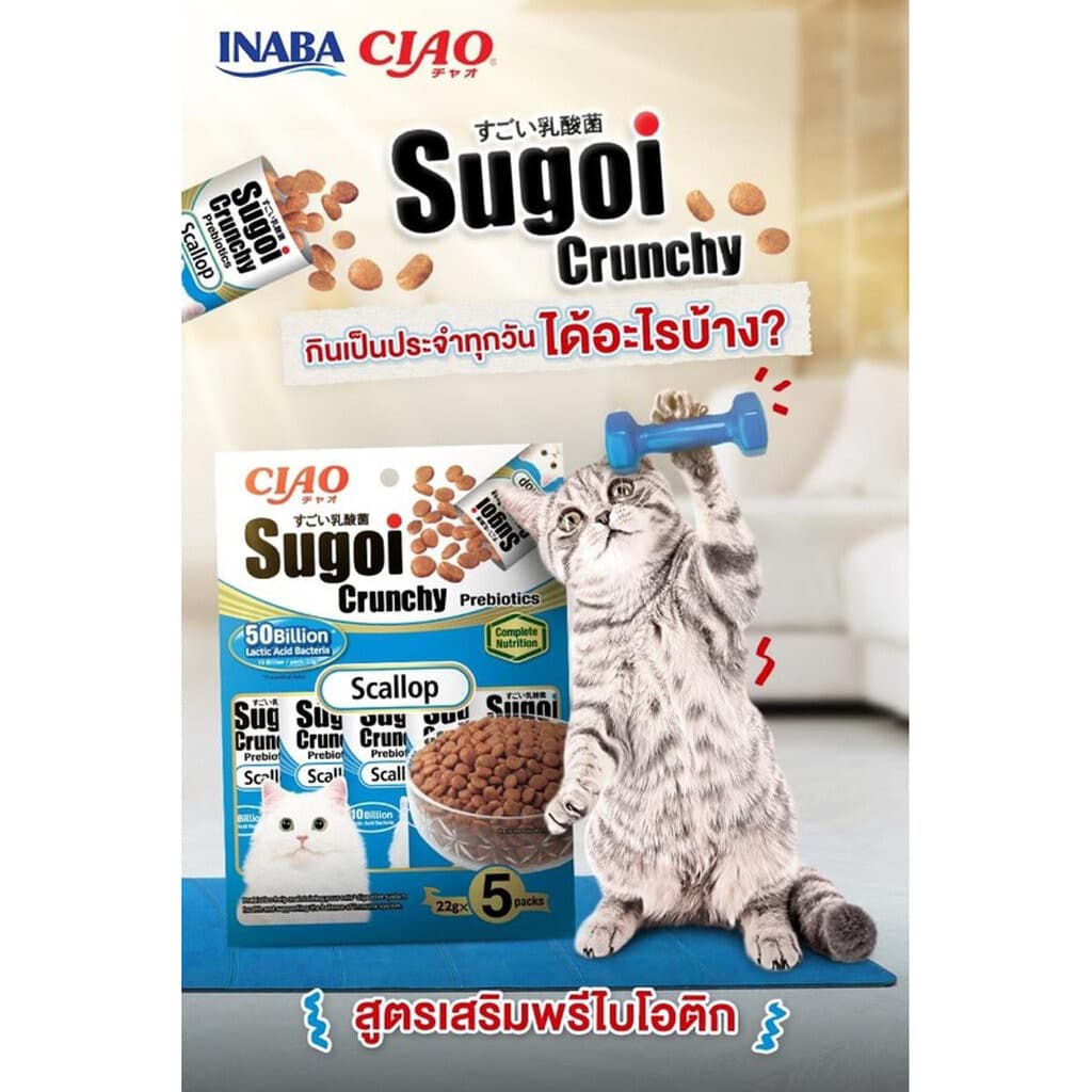 ) CIAO Sugoi Crunchy อาหารเม็ดแมว เกรดพรีเมี่ยม สูตรเสริมพรีไบโอติก รูปที่ 4