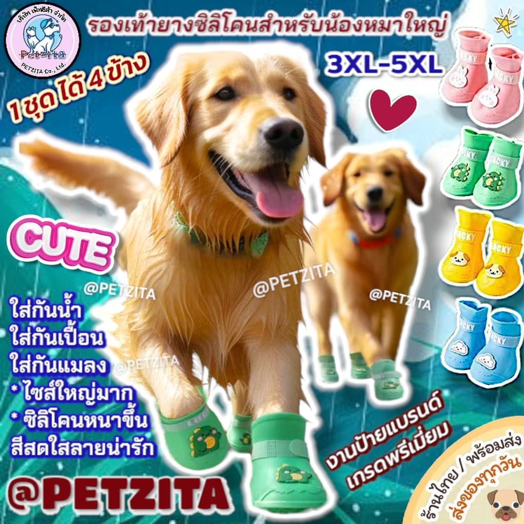 🇹🇭พร้อมส่ง🇹🇭 🥾 ไซส์ใหญ่มาก 3XL-5XL รองเท้าสุนัข ลาย การ์ตูน รองเท้ากันน้ำ หมาพันธุ์ใหญ่