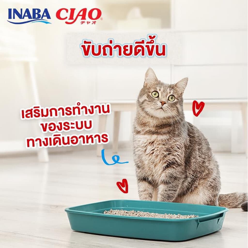 ) CIAO Sugoi Crunchy อาหารเม็ดแมว เกรดพรีเมี่ยม สูตรเสริมพรีไบโอติก รูปที่ 6