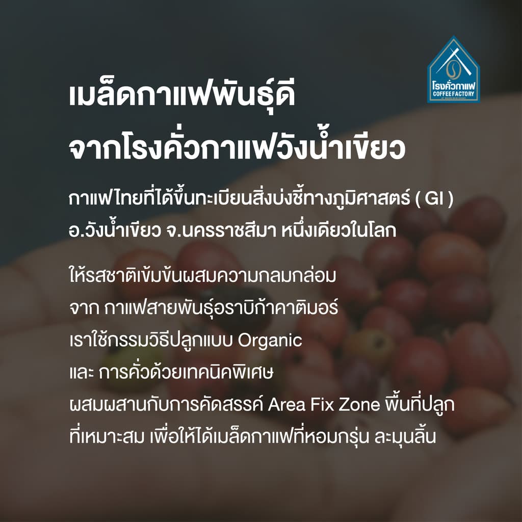 เมล็ดกาแฟคั่วเข้ม Espresso Arabica Dark Roast 250G. รูปที่ 5