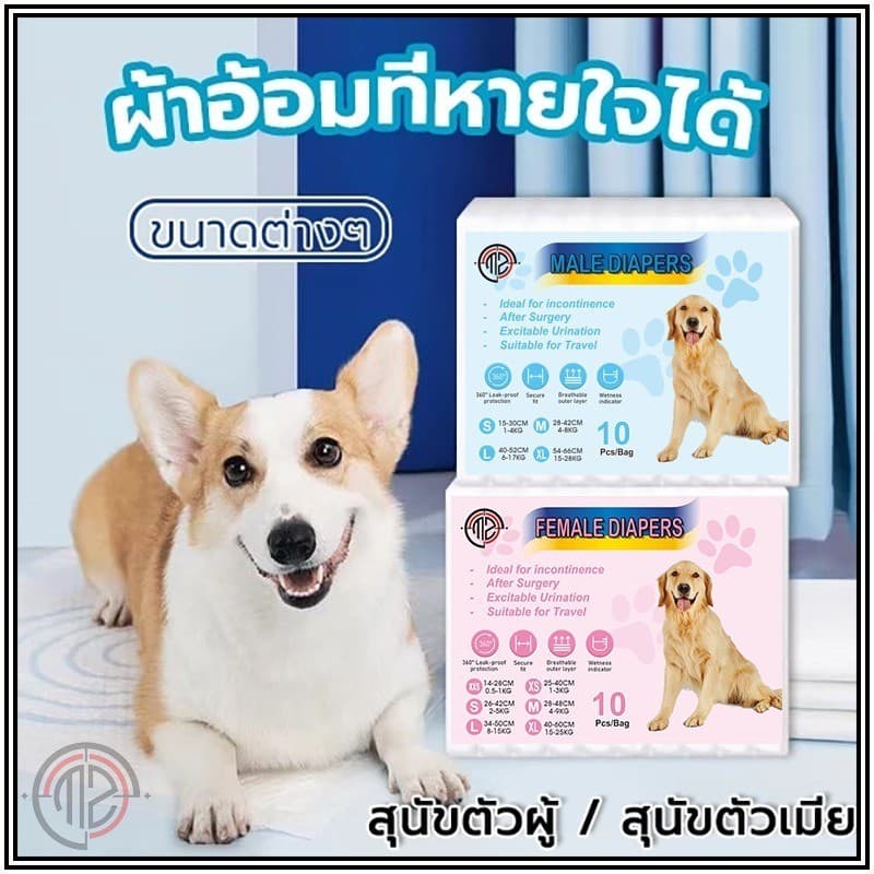 ผ้าอ้อมหมาผ้าอ้อมสุนัขเพศผู้ ผ้าอ้อมสัตว์เลี้ยง แพมเพิสสุนัข ตัวเมีย สำหรับสุนัขและแมว ผ้าอ้อมน้องหมา รูปที่ 2