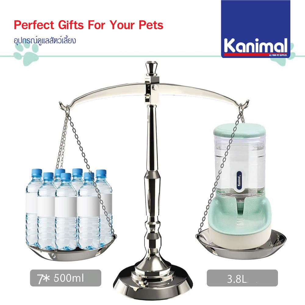 Kanimal Pet Water Dispenser ที่ให้น้ำอัตโนมัติ ชามน้ำดื่ม พร้อมสปริงดันน้ำ สำหรับสุนัขและแมว ความจุ 3.8 ลิตร รูปที่ 4