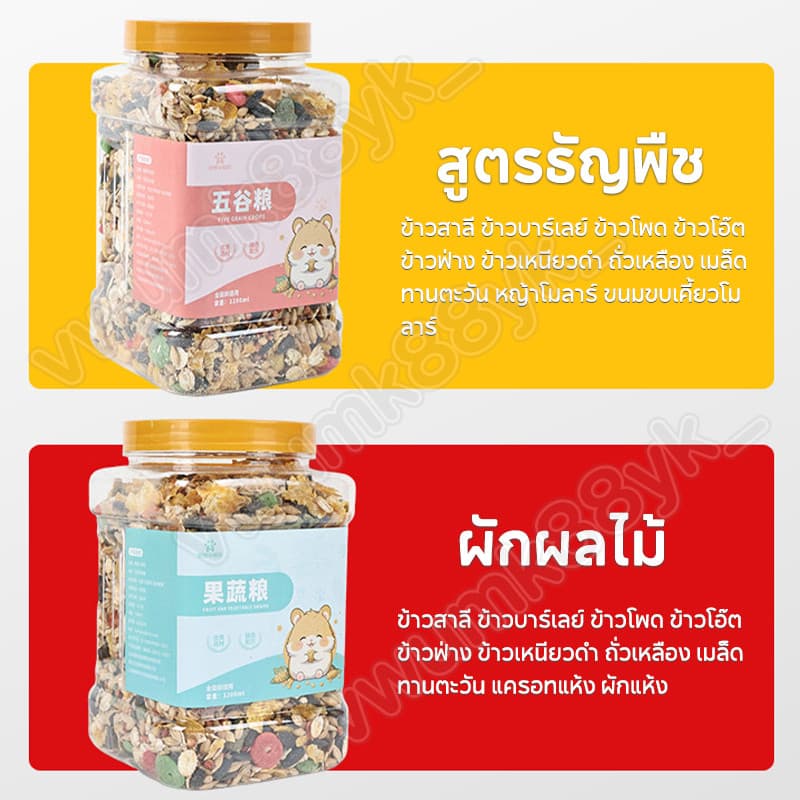อาหารหนูแฮมสเตอร์ 1200ML อาหารสัตว์เลี้ยงฟันแทะทุกชนิด Hammer Food แฟตเทล อาหารผสม รูปที่ 3