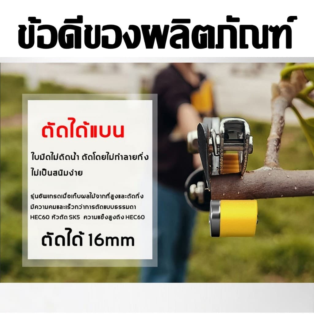 กรรไกรตัดกิ่งไม้สูง ยืดหกถึง2.2-4M กรรไกรตัดหนีบผลไม้ด้ามยาว กรรไกรเก็บผลไม้ กรรไกรเก็บผลไม้ รูปที่ 9
