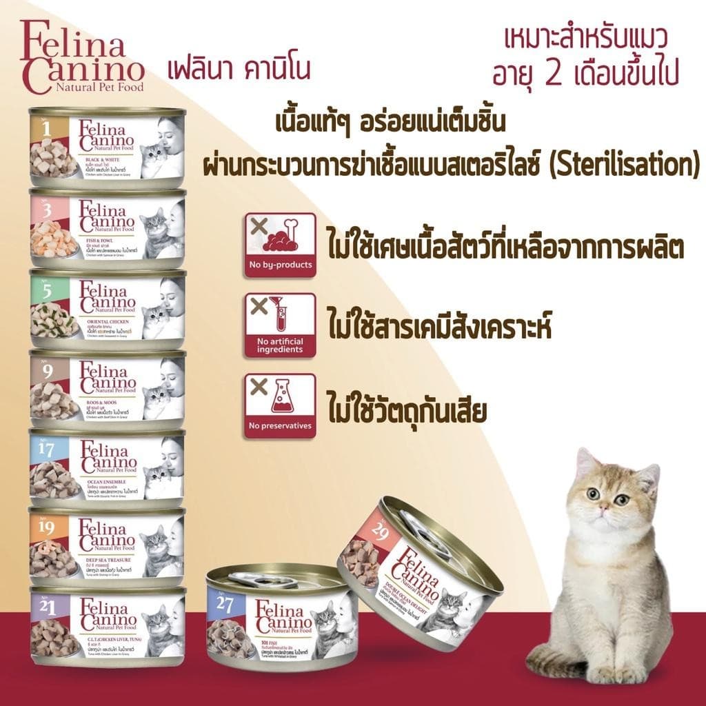Felina Canino Single Protein อาหารเปียกแมว เนื้อเน้นๆ ไม่เติมเกลือ เปียกแมว ขนาด 70 กรัม รูปที่ 3