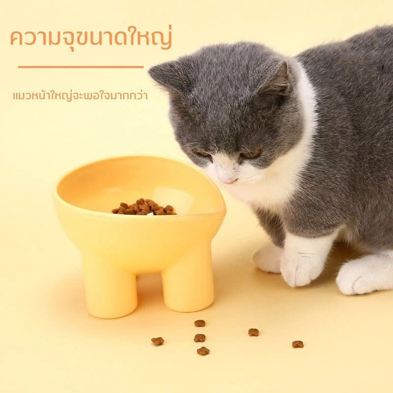 ชามอาหารสัตว์เลียง รูปทรงขาช้างยกสูง ฐานสี่ขา ทรงสูง ช่วยเซฟหลัง เอียง 15องศา รูปที่ 4