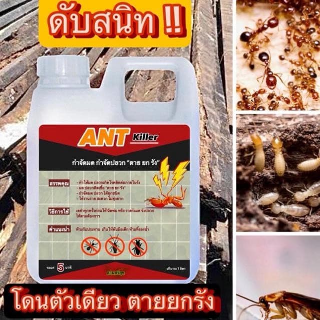ผลิตภัณฑ์กำจัดมด ปลวก แมลงสาบ 1 ลิตรแถม 1ลิตร ไล่แมลงดินเทราดหลุมต้นไม้ รูปที่ 1
