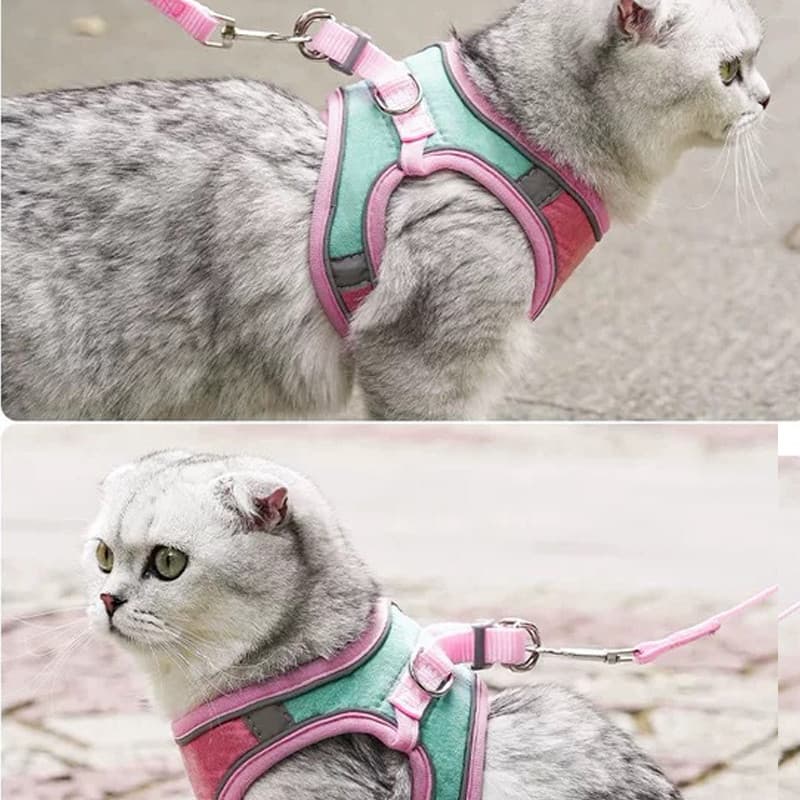 SKISOPGO สายจูงสัตว์เลี้ยง สายจูงแมวรัดอก เสื้อ เสื้อรัดอกแมว สะท้อนแสงกลางคืน ปรับระดับได้ รูปที่ 5