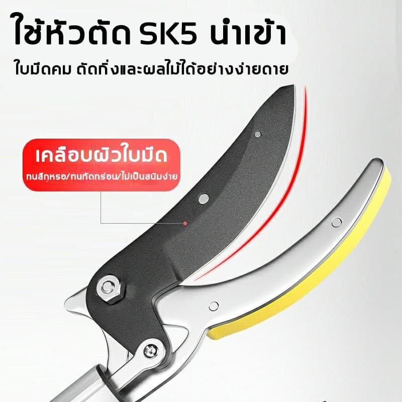 กรรไกรตัดกิ่งไม้สูง ยืดหกถึง2.2-4M กรรไกรตัดหนีบผลไม้ด้ามยาว กรรไกรเก็บผลไม้ กรรไกรเก็บผลไม้ รูปที่ 2