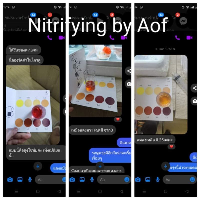 Nitrifying Bacteria แบคทีเรียบำบัดน้ำ กำจัด แอมโมเนีย ไนไตรท์ แบบซอง 50 ml. รูปที่ 9