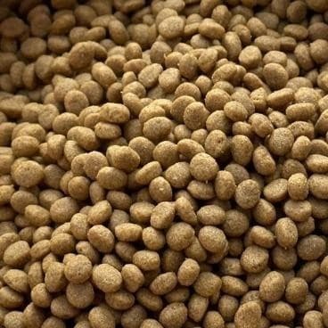 ] อาหารแมว Kamu Kat รสแกะและปลา ความคุมความเค็ม ลดก้อนขน โปรตีน30% ขนาด 1 kg. รูปที่ 5