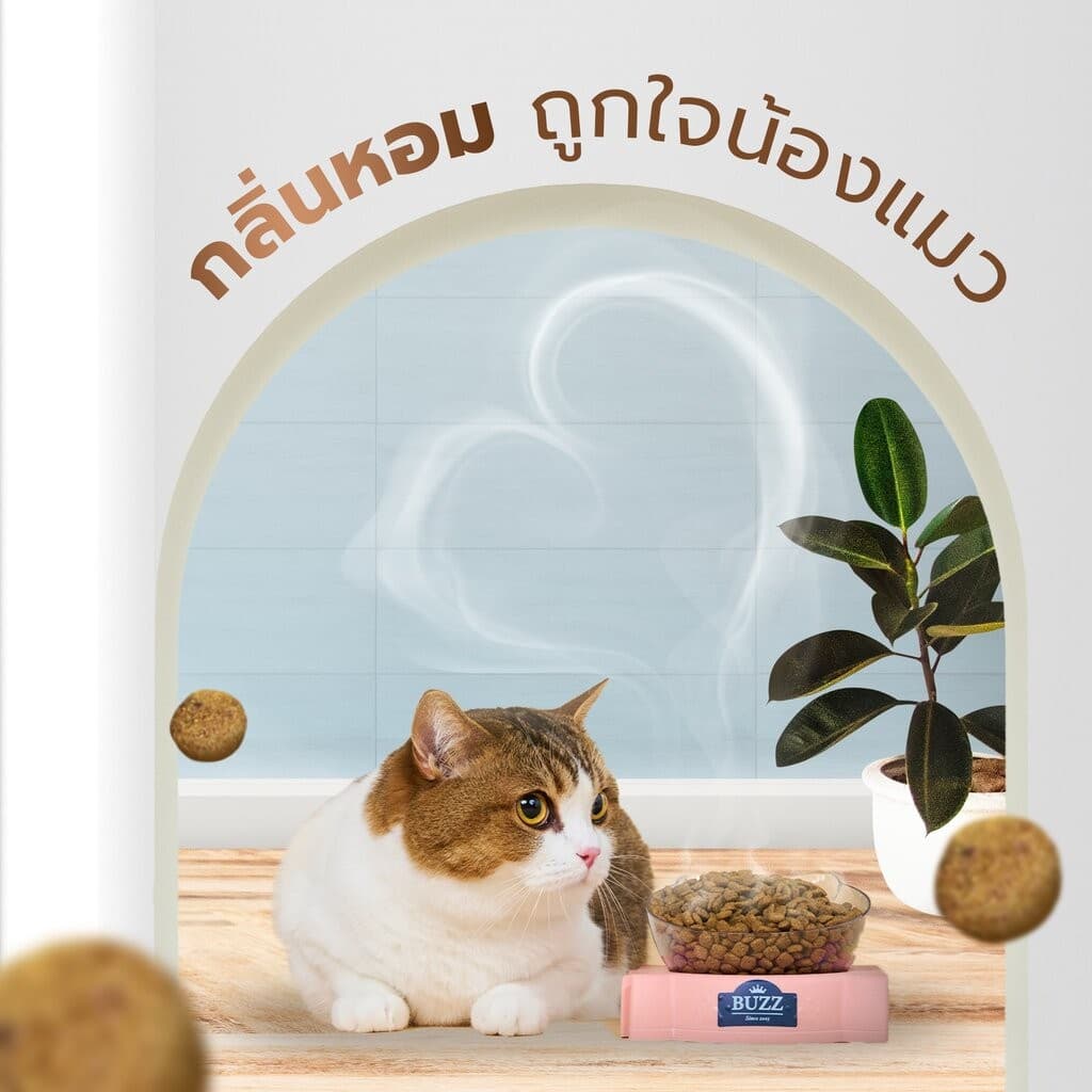 อาหารแมวเม็ดแห้ง Buzz Beyond สูตรไม่มีกลูเตน สำหรับแมวทุกสายพันธุ์ ขนาด 1 kg รูปที่ 6