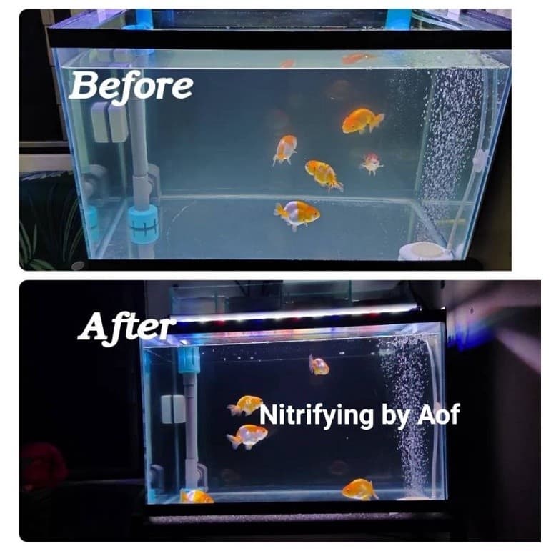 Nitrifying Bacteria แบคทีเรียบำบัดน้ำ กำจัด แอมโมเนีย ไนไตรท์ แบบซอง 50 ml. รูปที่ 6