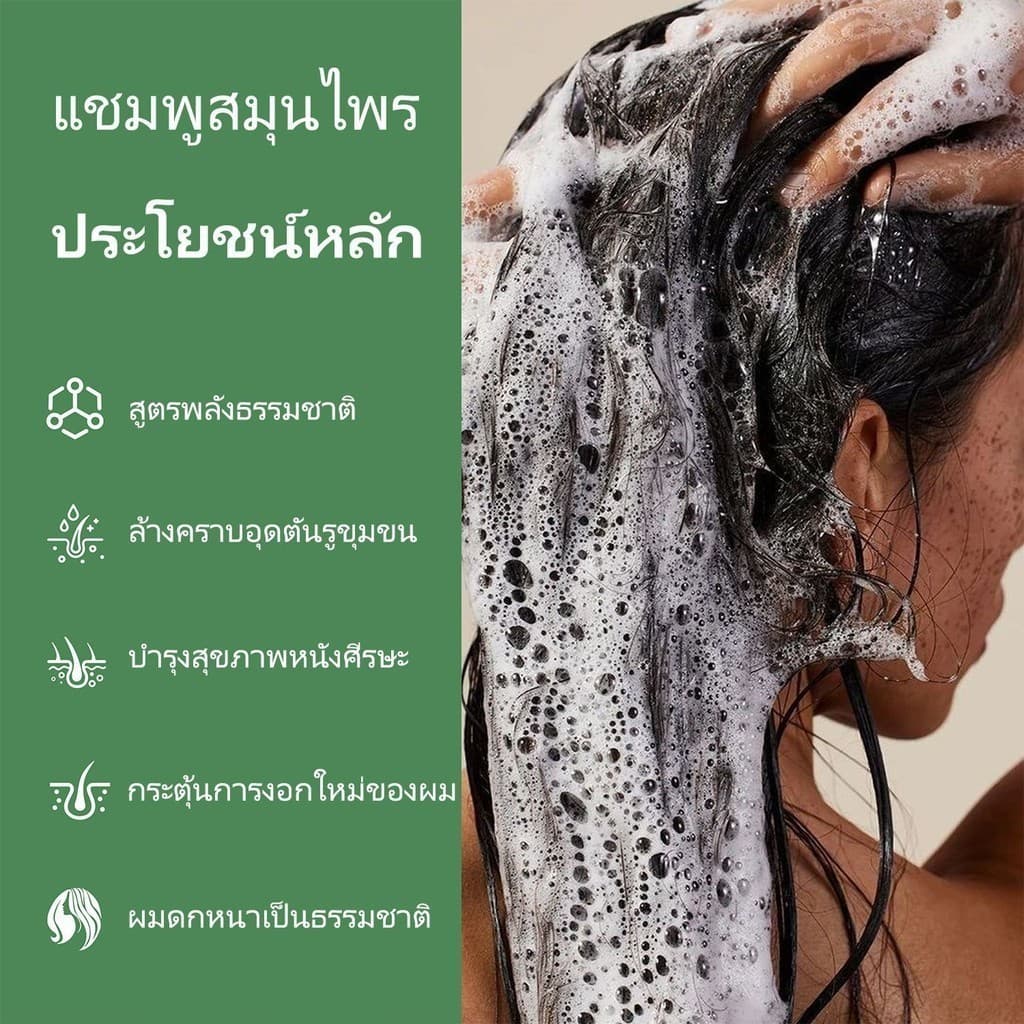 แชมพูจากพืชธรรมชาติ ลดผมขาดหลุดร่วง เร่งผมยาว กระตุ้นเส้นผมงอกใหม่ สกัดจากสมุนไพรสด7ชนิด ถนอมเส้นผม รูปที่ 5
