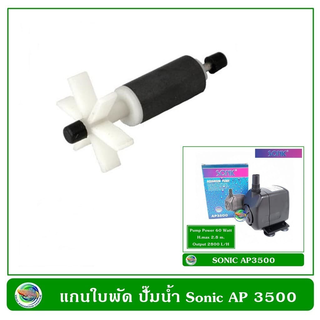แกนใบพัด ปั๊มน้ำ Sonic รุ่น AP 1600 / AP 2500 / AP 3500/ AP 4500 / AP 5000 รูปที่ 2
