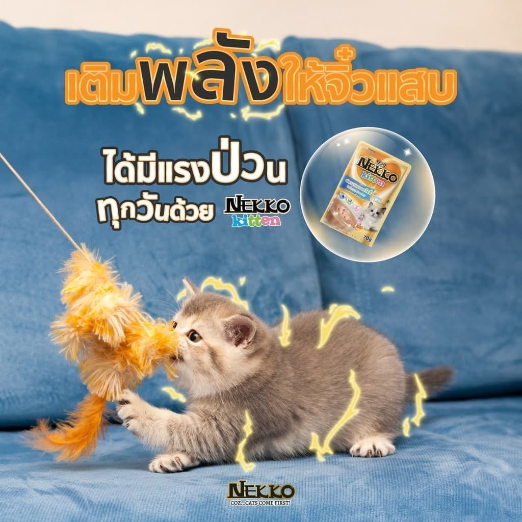 Nekko เน็กโกะ อาหารเปียกแมว 70g รูปที่ 4