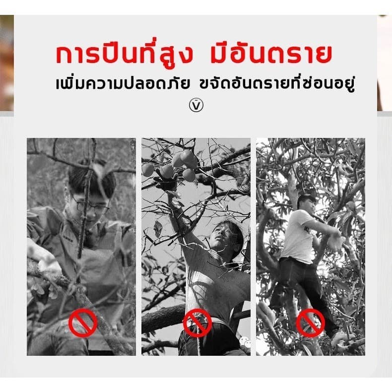 กรรไกรตัดกิ่งไม้สูง ยืดหกถึง2.2-4M กรรไกรตัดหนีบผลไม้ด้ามยาว กรรไกรเก็บผลไม้ กรรไกรเก็บผลไม้ รูปที่ 7