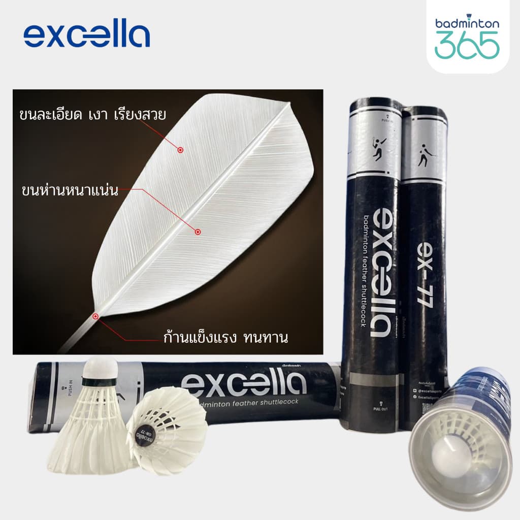 Excella EX-77 V.2 ลูกแบดขนห่านพรีเมียม คงทน x2 วิถีนิ่ง ตีแม่นทุกช็อต! รูปที่ 6