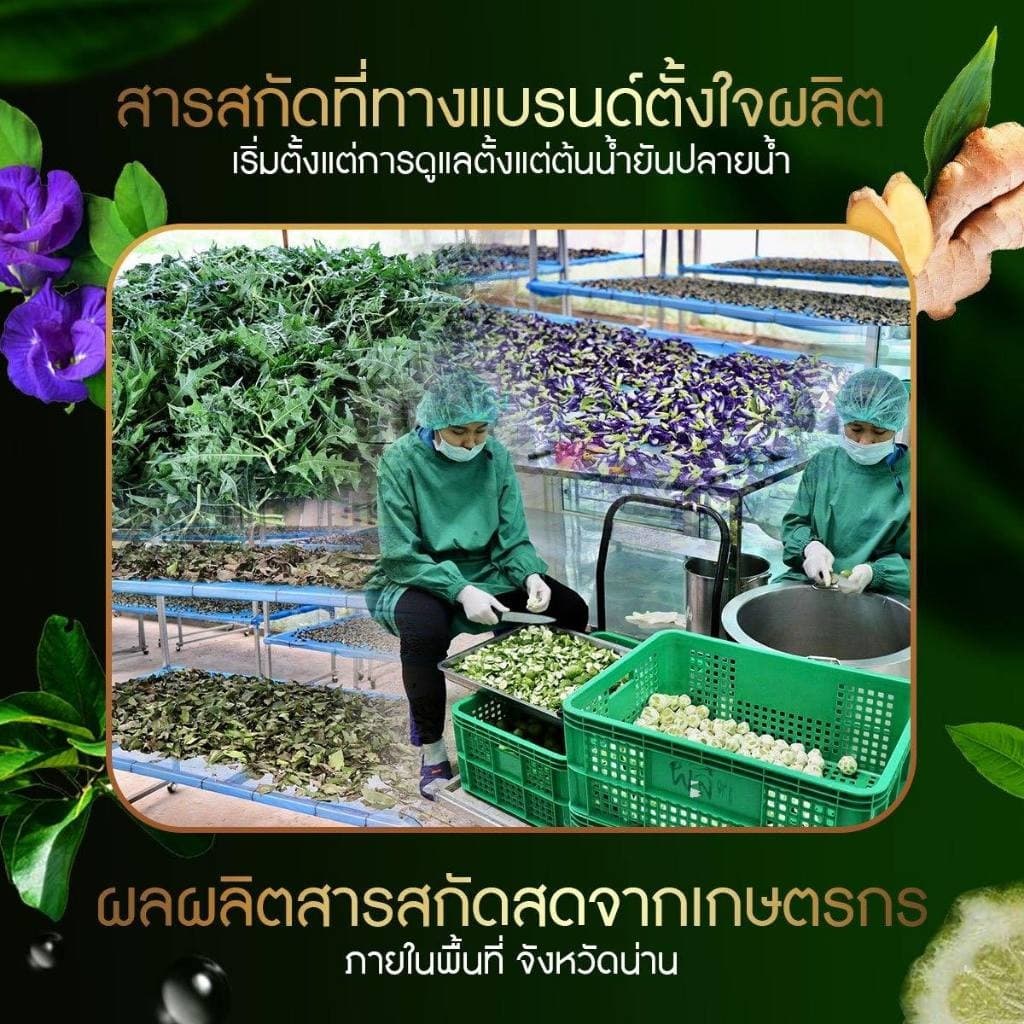 ไบโอเวช แชมพู /ครีมนวด เร่งผมยาว ป้องกันผมร่วง ผมเสีย สมุนไพรแท้100% 225ml. รูปที่ 4