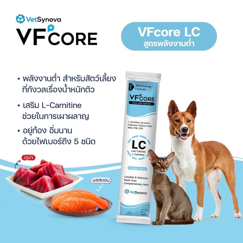 VFcore แมวเลีย วิตามินแมว อาหารเสริม ไลซีน วิตามินรวม แบ่งขายแบบซอง 12g รูปที่ 9