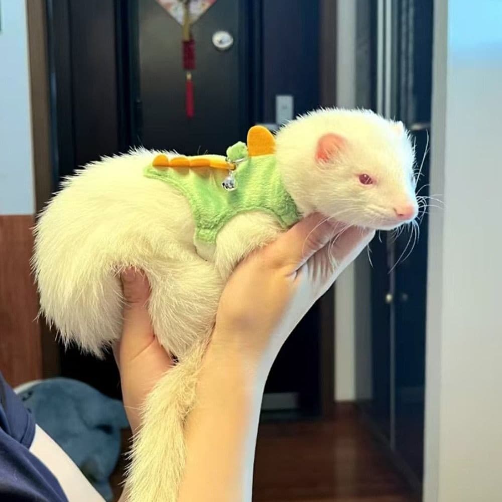 JENNIFE สายรัดเสื้อกั๊ก Ferret, การ์ตูนมังกรออกแบบสายจูงสายรัดสัตว์เลี้ยง, น่ารักพร้อม Bell Flannel ปรับหนูแฮมสเตอร์สายรัดหน้าอก Travel รูปที่ 3