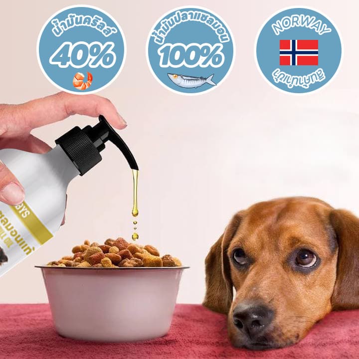 Salmon Oilน้ำมันปลาแซลมอนแท้ 100% Premium จาก Norway อุดมด้วยน้ํามันคริลล์ 40% สำหรับสุนัขและแมว บำรุงขนสวย ช่วย ให้เจริญอาหาร รูปที่ 5