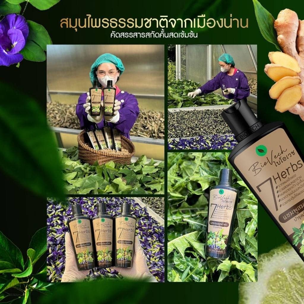 ไบโอเวช แชมพู /ครีมนวด เร่งผมยาว ป้องกันผมร่วง ผมเสีย สมุนไพรแท้100% 225ml. รูปที่ 2