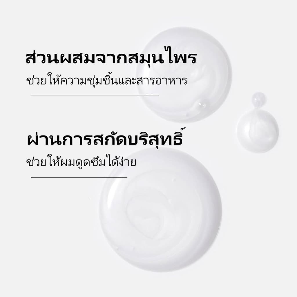 แชมพูจากพืชธรรมชาติ ลดผมขาดหลุดร่วง เร่งผมยาว กระตุ้นเส้นผมงอกใหม่ สกัดจากสมุนไพรสด7ชนิด ถนอมเส้นผม รูปที่ 4