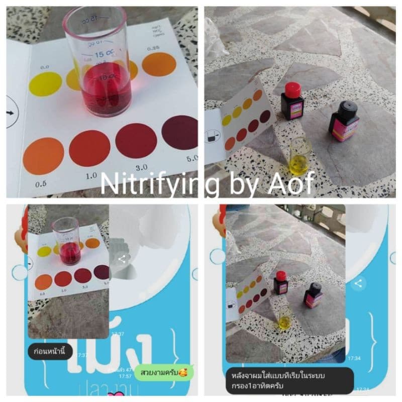 Nitrifying Bacteria แบคทีเรียบำบัดน้ำ กำจัด แอมโมเนีย ไนไตรท์ แบบซอง 50 ml. รูปที่ 3