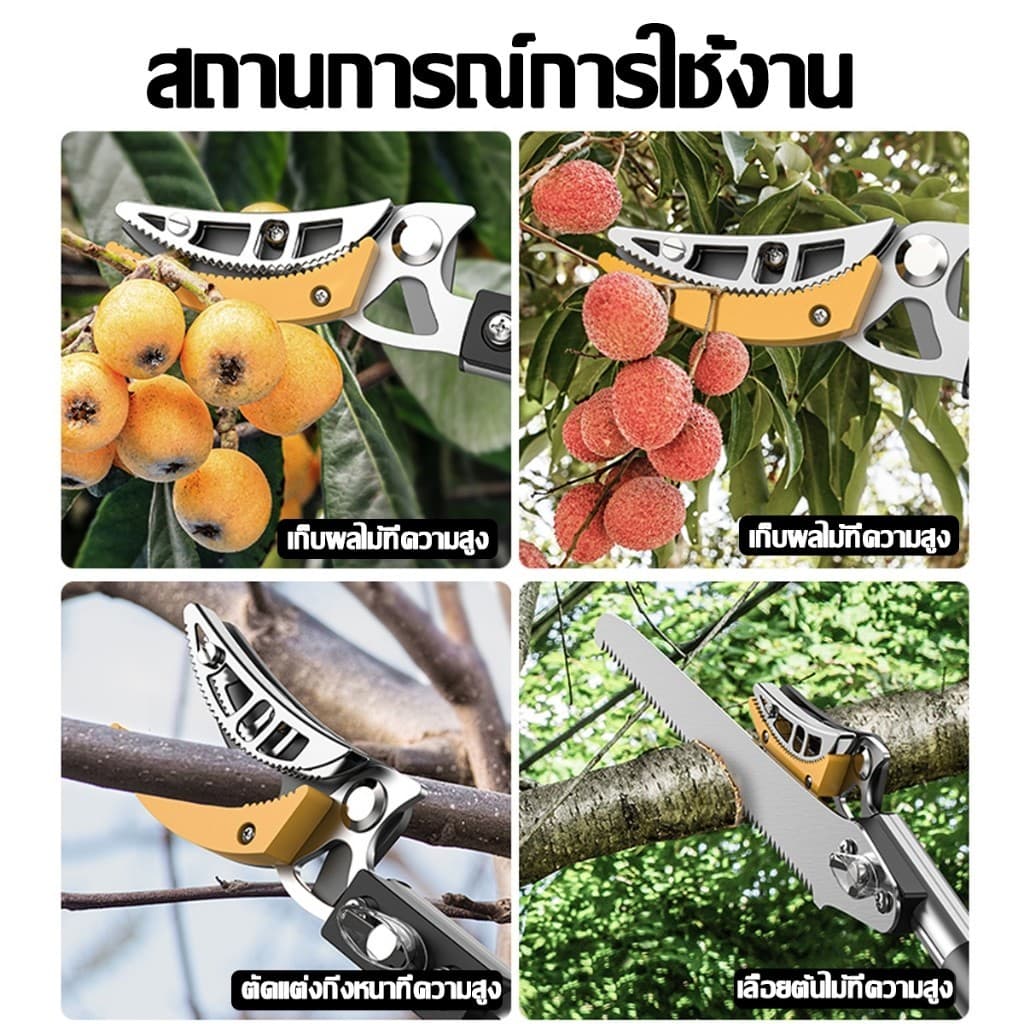 กรรไกรตัดกิ่งไม้สูง ยืดหกถึง2.2-4M กรรไกรตัดหนีบผลไม้ด้ามยาว กรรไกรเก็บผลไม้ กรรไกรเก็บผลไม้ รูปที่ 8