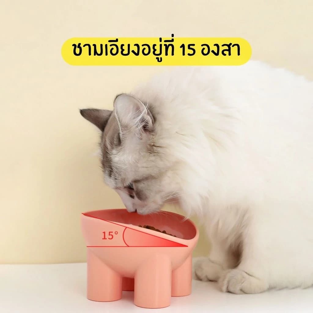 ชามอาหารสัตว์เลียง รูปทรงขาช้างยกสูง ฐานสี่ขา ทรงสูง ช่วยเซฟหลัง เอียง 15องศา รูปที่ 5