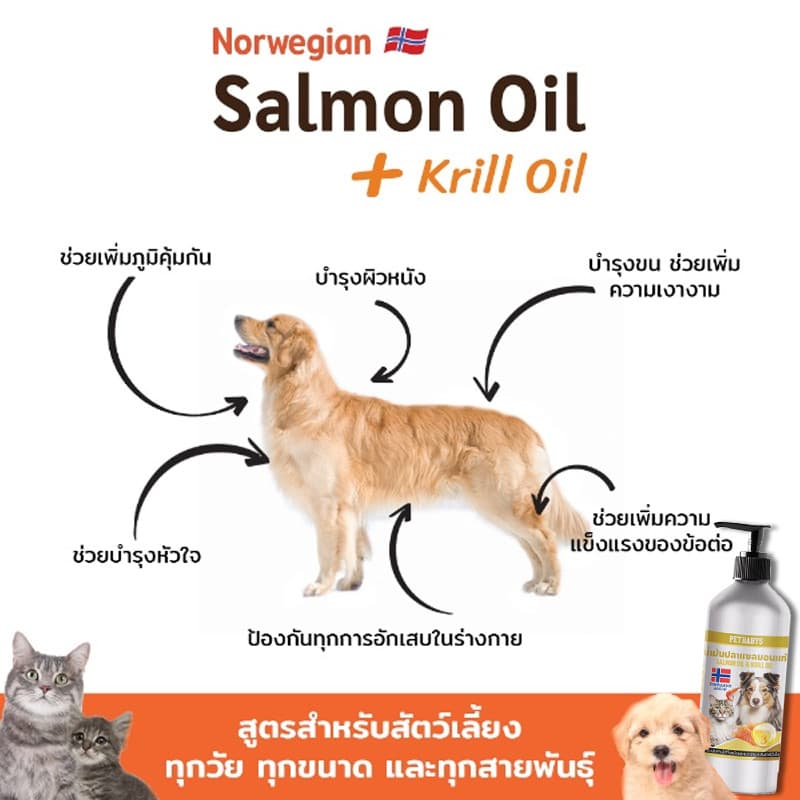 Salmon Oilน้ำมันปลาแซลมอนแท้ 100% Premium จาก Norway อุดมด้วยน้ํามันคริลล์ 40% สำหรับสุนัขและแมว บำรุงขนสวย ช่วย ให้เจริญอาหาร รูปที่ 2