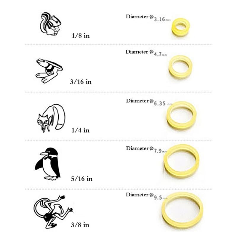 100 ชิ้น/ถุงทันตกรรม Zoo Elastics ยางทันตกรรม Latex 6.5OZ/5.0OZ/3.5OZ รูปที่ 8