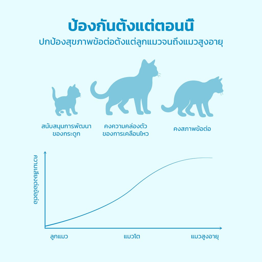 THSPET 70g Joint & Bone น้ำเกรวี่ปลาทูน่า อาหารเปียกสูตรบำรุงข้อ 1 กล่อง 8 ซอง รูปที่ 4