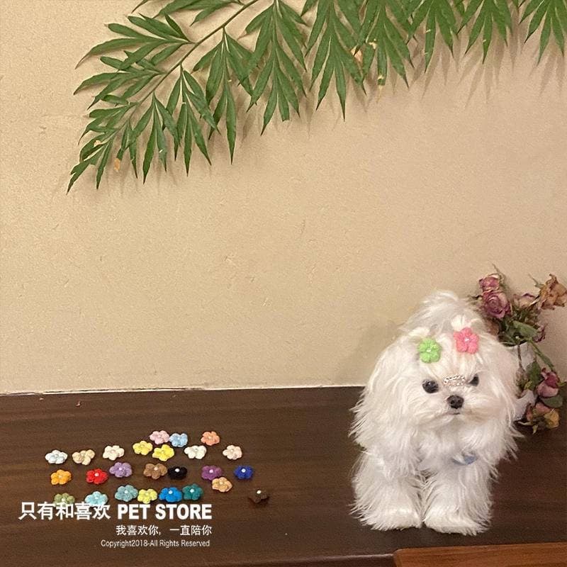 กิ๊บติดผมสัตว์เลี้ยงแฮนด์เมด Mini Hair Breaks สัตว์เลี้ยง BB คลิปโบว์ Shihtzu กิ๊บติดผมอุปกรณ์เสริมแมว Headwear Yorkshire Marzis Bichon รูปที่ 2